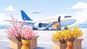 Đào, Mai "đi máy bay" tăng cao dịp Tết, giá gần nửa triệu mỗi cành