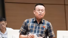 Đại biểu Nguyễn Như So (đoàn Bắc Ninh)