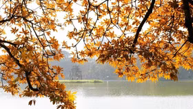 Lý do Hà Nội nằm trong top điểm đến ngắm lá mùa thu đẹp nhất châu Á