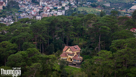 Khám phá Đà Lạt: Cuộc hội ngộ của bình yên và hùng vĩ nơi cao nguyên Lâm Viên