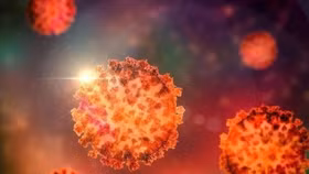 Biến thể XEC có tốc độ lây lan nhanh hơn nhiều so với các biến thể phụ Omicron khác. Ảnh: Shutterstock