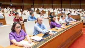 Các đại biểu biểu quyết thông qua luật sáng 14/6