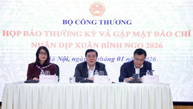 Thứ trưởng Bộ Công Thương Nguyễn Sinh Nhật Tân (giữa) thông tin tại họp báo