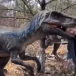 Nam du khách may mắn bị thương nhẹ khi “nghịch dại” thò đầu vào miệng khủng long