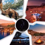 Châu Phi và những chuyến safari tuyệt vời nhất vào ban đêm