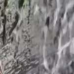 Du khách bàng hoàng khi chứng kiến hàng ngàn con cá leo lên thác nước thẳng đứng