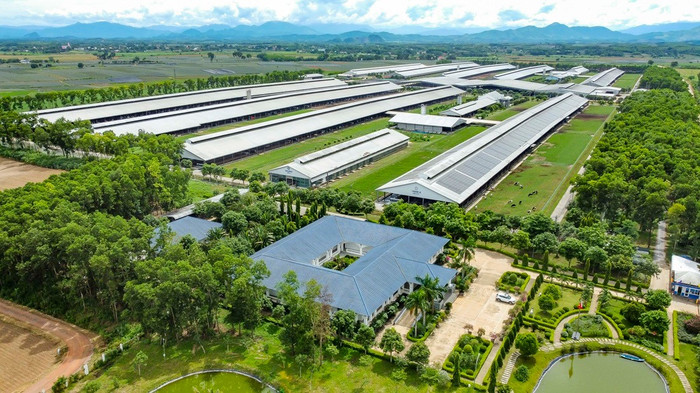 Hệ thống 15 trang trại đạt chuẩn Organic châu Âu và Global S.L.P là nền tảng giúp Vinamilk chủ động nguồn nguyên liệu chất lượng cao anh-2a.jpg