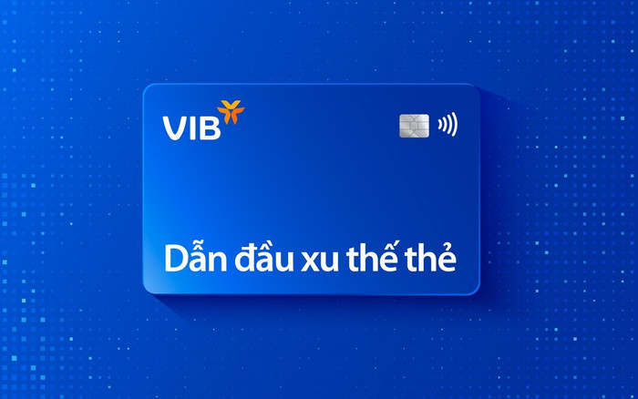 vi3.jpg