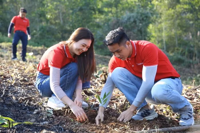 Năm 2025, SeABank hoàn thành mục tiêu 1 triệu cây xanh sau nhiều năm bền bỉ hồi sinh rừng bị tàn phá do thiên tai