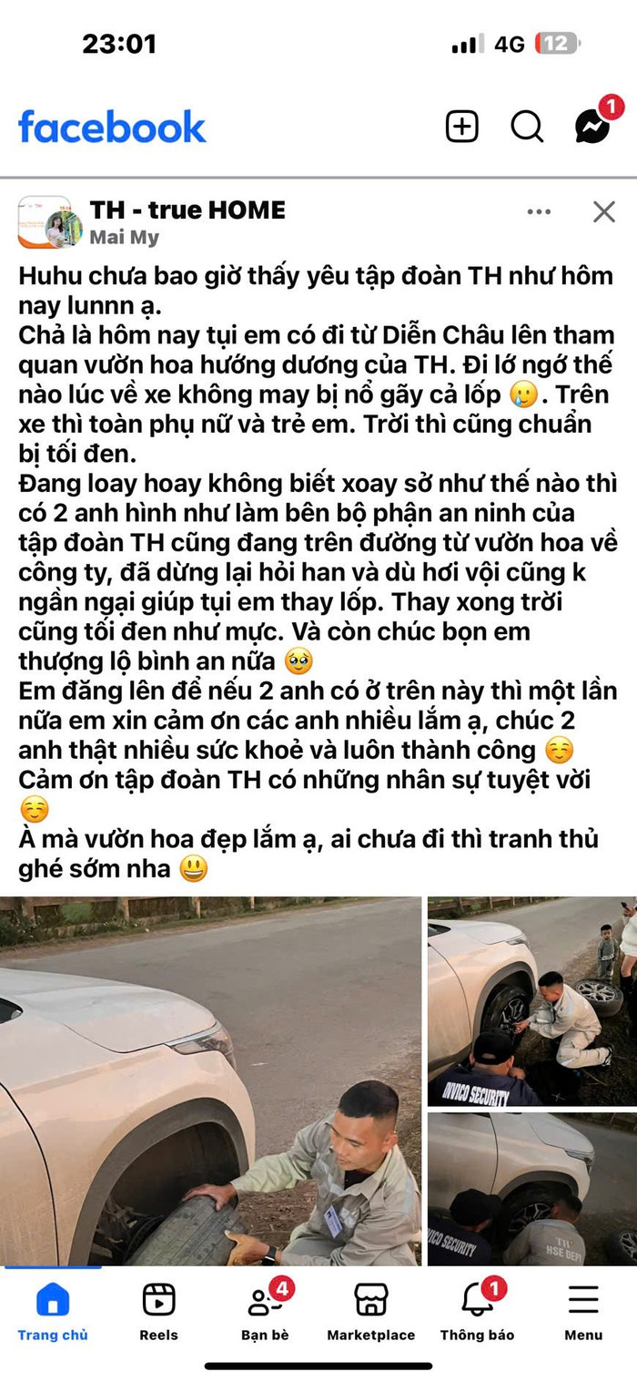 t5.jpg