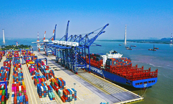 Doanh nghiệp Việt xoay trục tìm thị trường mới, ứng phó với rủi ro thuế quan