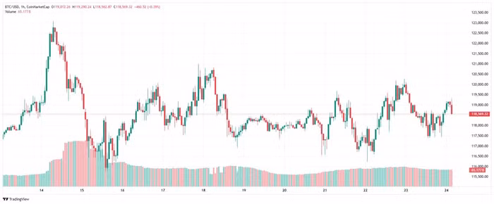 btc-2025-07-24-11-22-13.jpg