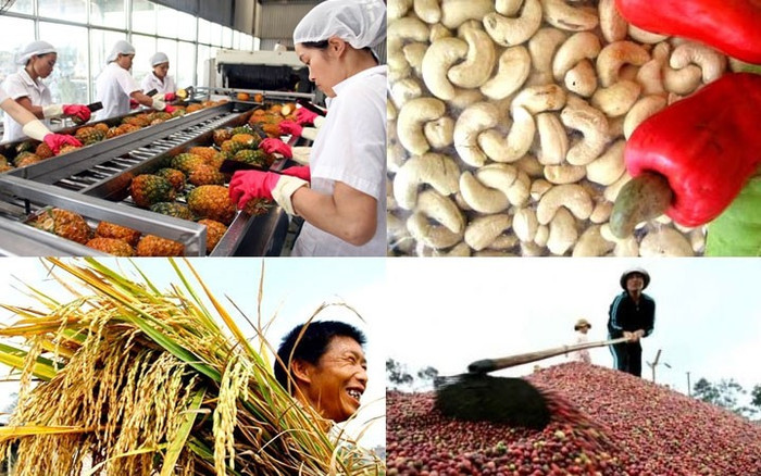 Giá nông sản hôm nay (9/6): Đầu tuần nông sản chủ lực ổn định, ít biến động so với phiên cuối tuần