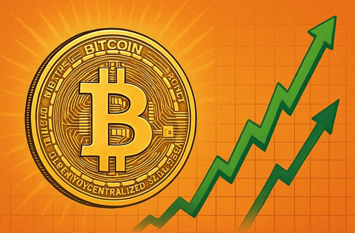 Bitcoin đạt kỷ lục mới, giá trị các ví lạnh Bitcoin tăng mạnh
