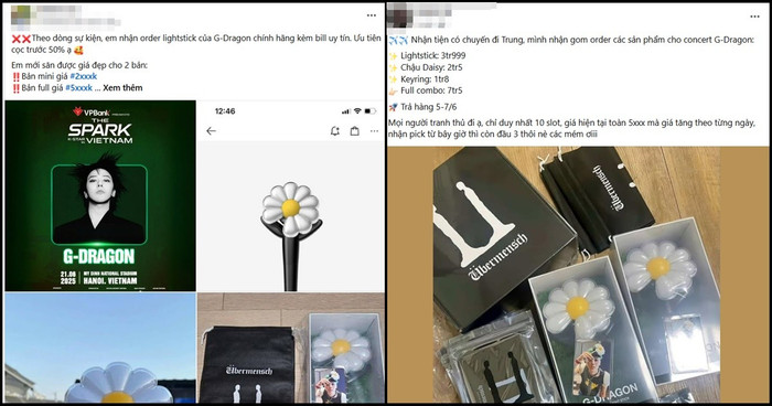 Lightstick đang được nhiều người nhận đặt hàng trong tình trạng khan hiếm cats23.jpg