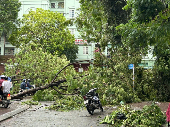 Bão số 3 đổ bộ gây thiệt hại về người và tài sản cho nhiều tỉnh phía Bắc