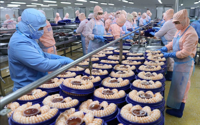 Xuất khẩu thủy sản Việt Nam sắp vượt 11 tỷ USD dù Mỹ siết chặt nhập khẩu