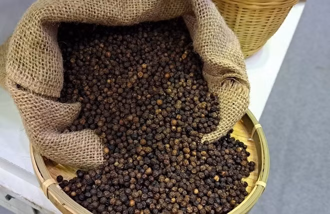 Giá nông sản hôm nay (25/4): Giá "vàng đen" trong nước tăng cao, lên gần 2.000 đồng/kg