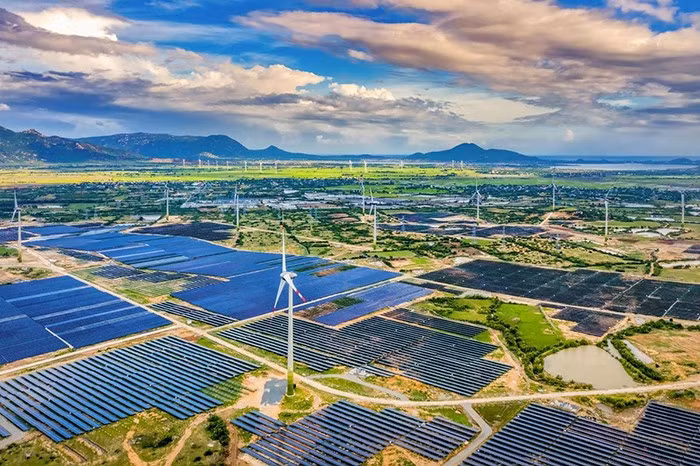 Hai doanh nghiệp ngành năng lượng bị xử phạt hơn 300 triệu đồng do công bố thông tin sai lệch