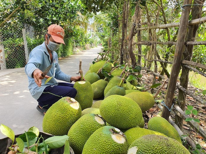 Xuất khẩu rau quả Việt Nam lập kỷ lục, Trung Quốc tạo "bàn đạp" cho năm 2026