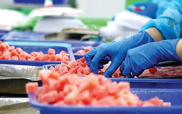 Gặp khó ở thị trường chủ lực, cá ngừ Việt Nam tăng tốc sang Trung Đông