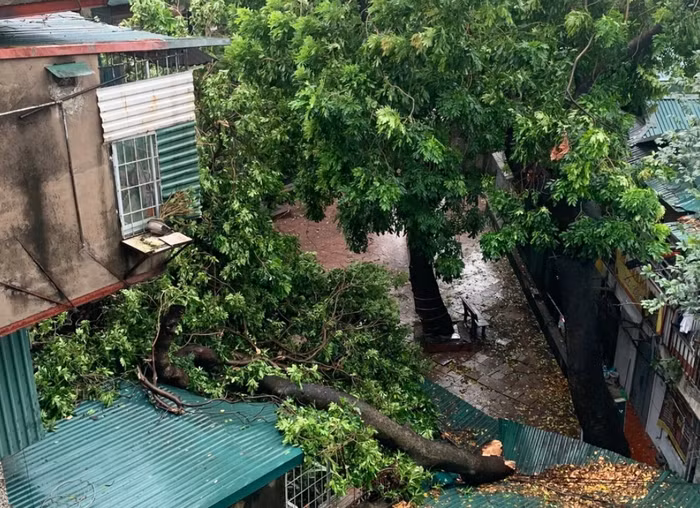 Bão Yagi đổ bộ gây thiệt hại cho nhiều khu vực trong nội thành Hà Nội