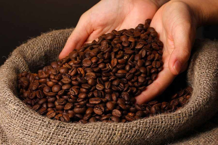 Giá nông sản hôm nay (19/6): Giá cà phê Robusta giảm kỷ lục do nguồn cung tăng mạnh