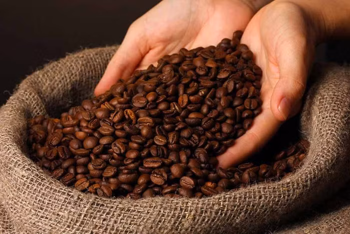 Giá nông sản hôm nay (19/6): Giá cà phê Robusta giảm kỷ lục do nguồn cung tăng mạnh