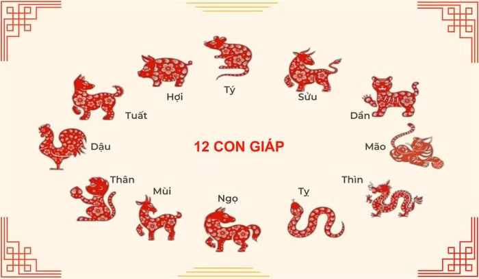 Tử vi vui 12 con giáp ngày 7/3: Vận xui đi, may mắn đến, sự nghiệp của 4 con giáp sẽ lên tầm cao mới