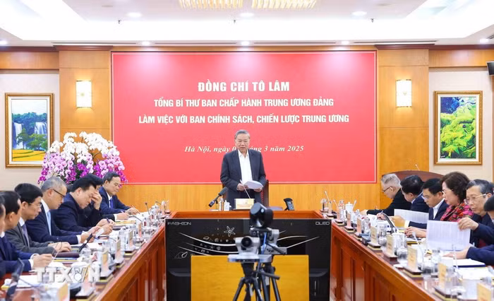 Tổng Bí thư Tô Lâm làm việc với Ban Chính sách, chiến lược Trung ương và một số cơ quan, đơn vị, chuyên gia về nội dung phát triển kinh tế tư nhân