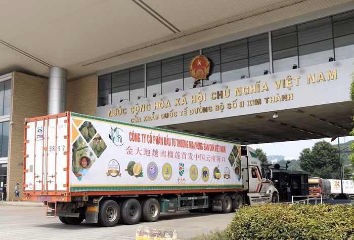  Hỗ trợ xuất mặt hàng tỷ đô của Việt Nam, Hải quan tăng tốc thông quan cả ngày nghỉ