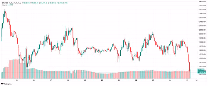 btc-2025-07-25-11-18-28.png