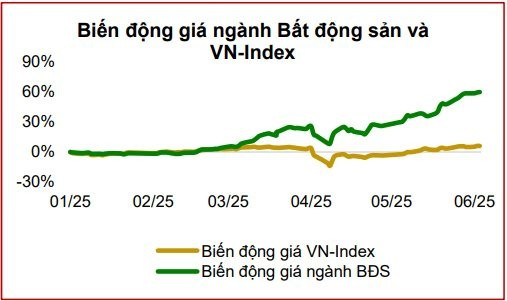 Nguồn: Agriseco Research srg-1749830285769-17498302862321340152328.png