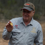 Giá vàng lập đỉnh, Australia bùng nổ “cơn sốt săn vàng” mới