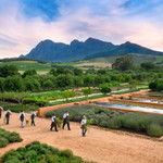 Mô hình farmstay tạo nên cú hích tỷ đô