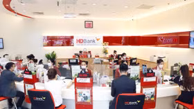 Ưu đãi cho doanh nghiệp, HDBank tung gói chi tiền lương Happy Di- Payroll 
