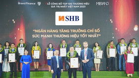 Ông Đinh Ngọc Dũng, Phó Giám đốc phụ trách Khối Ngân hàng doanh nghiệp đại diện SHB nhận giải thưởng