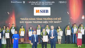 Ông Đinh Ngọc Dũng, Phó Giám đốc phụ trách Khối Ngân hàng doanh nghiệp đại diện SHB nhận giải thưởng