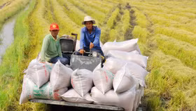 Nắn dòng tín dụng vào lúa gạo và thuỷ sản ở Đồng bằng sông Cửu Long