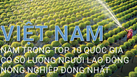 Việt Nam nằm trong Top 10 quốc gia có số lượng người lao động nông nghiệp đông nhất