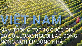 Việt Nam nằm trong Top 10 quốc gia có số lượng người lao động nông nghiệp đông nhất