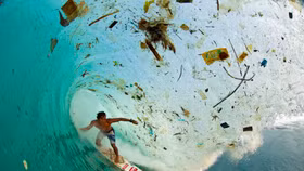 Lướt sóng và kem chống nắng: Quả "bom độc" của môi trường biển