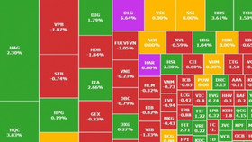 VN-Index thủng mốc 1.095, cổ phiếu HAG, HQC, DLG ngược dòng tăng mạnh
