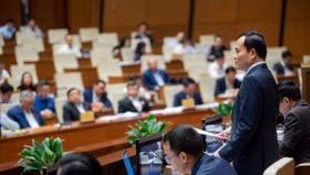 Phó Thủ tướng Chính phủ Trần Lưu Quang trả lời chất vấn
