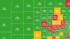 VN-Index tăng 7 điểm, cổ phiếu lại xanh như nấm mọc sau mưa