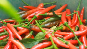 Trung Quốc là thị trường xuất khẩu ớt lớn nhất của Việt Nam