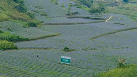 Công bố chương trình “Ươm tạo doanh nghiệp và giải pháp sáng tạo trong lĩnh vực dược liệu”