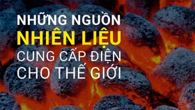 Nguồn cung điện cho thế giới: Năng lượng tái tạo ghi nhận đà tăng trưởng vượt bậc
