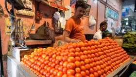 Giá cà chua đã tăng đột biến tại Ấn Độ trong thời gian qua
