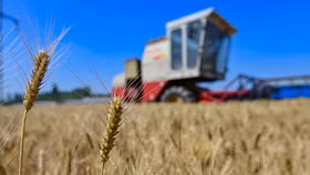 Trên thực tế, Trung Quốc vốn là quốc gia được hưởng lợi nhiều nhất từ Sáng kiến Ngũ cốc Biển Đen